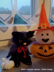 Knooking Halloween Katze Vampir